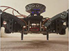 UDOO's Hexapod (Hexapi) Imagen del hexápodo de UDOO (Hexapi)