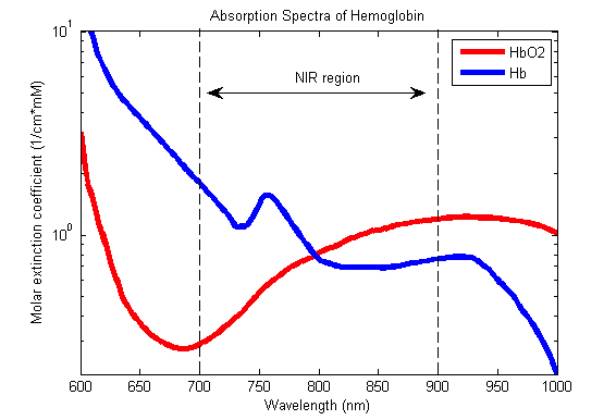 Graph of differences in absorption spectra between oxygenated (HbO2) and deoxygenated (Hb) blood cells