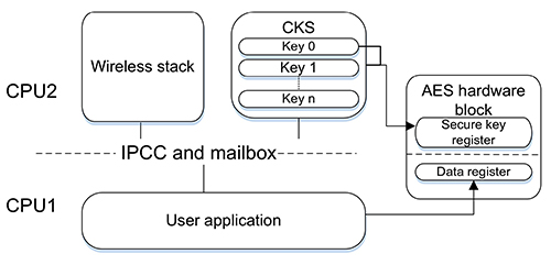 Diagram of dual-core STMicroelectronics STM32WB55 processor