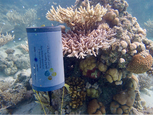 Image of Project EM043 is a coral reef habitat recovery system
