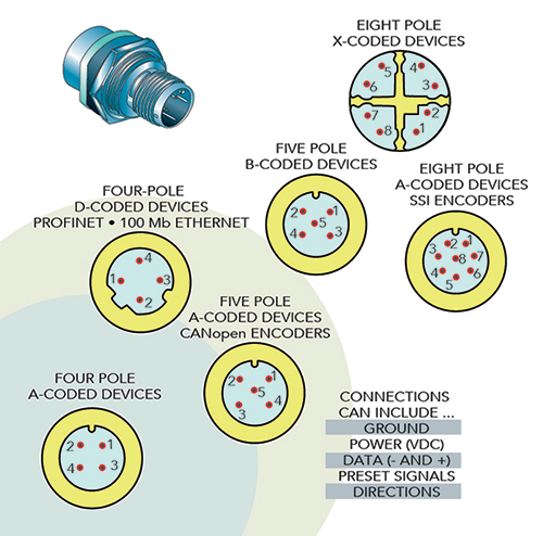 Image of M12 connectors come in various pin counts and coded pin assignments