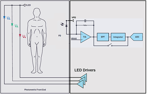 Diagram of signal chain for the SpO2 test starts with LED light signals (click to enlarge)