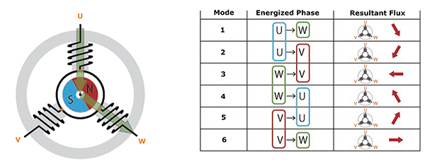 Diagram of stator poles of the BLDC motor (click to enlarge)