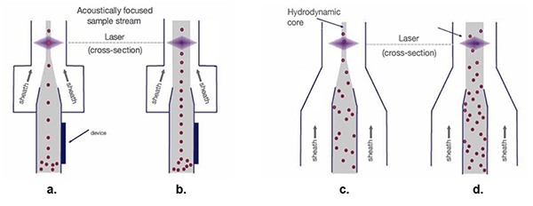 Diagram of acoustically focused sample streams and hydrodynamic sample stream (click to enlarge)