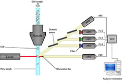 Image of Quickly Implement Flow Cytometer Designs Using High-Accuracy Data Acquisition Modules