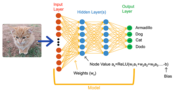 Image of NNs such as this fully connected network classify an input object (click to enlarge)