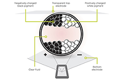 Image of How to Combine LEDs, E-paper, and Gesture Recognition for Low-Power HMIs in Enterprise Connectivity
