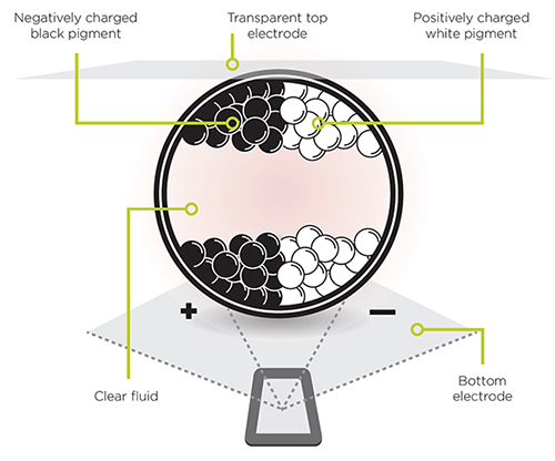 Image of E-ink comprises millions of tiny capsules