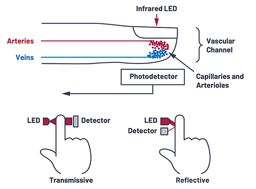 Diagram of IR LED can be used in a simple pulse oximeter and heart rate sensor