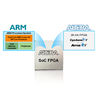 Customizable ARM-Based SoC