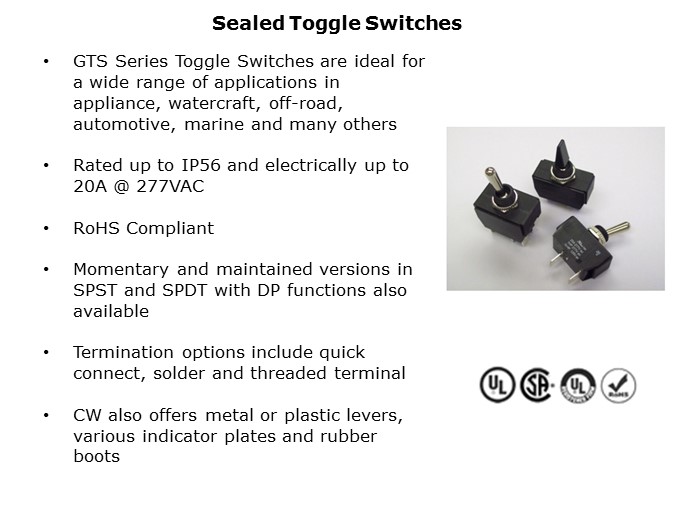 IPSwitches-Slide15