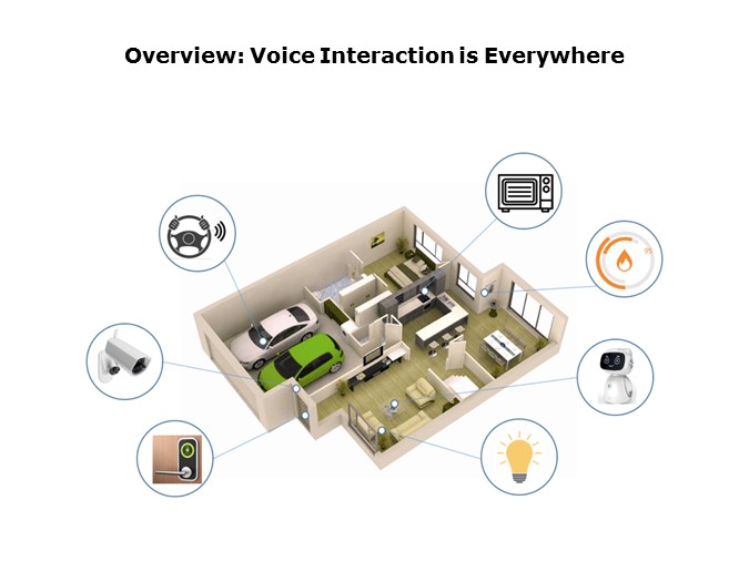 voice interaction