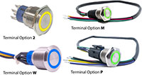 Image of E-Switch ULV4, ULV7, and ULV8 Anti-Vandal Series Switches