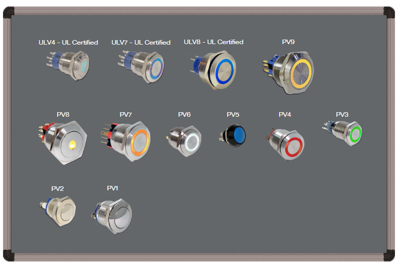 Anti-Vandal Switches